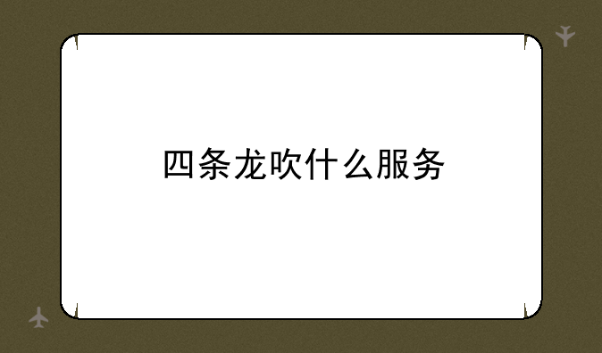四条龙吹什么服务
