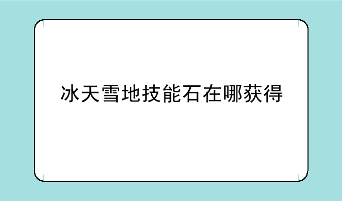 冰天雪地技能石在哪获得